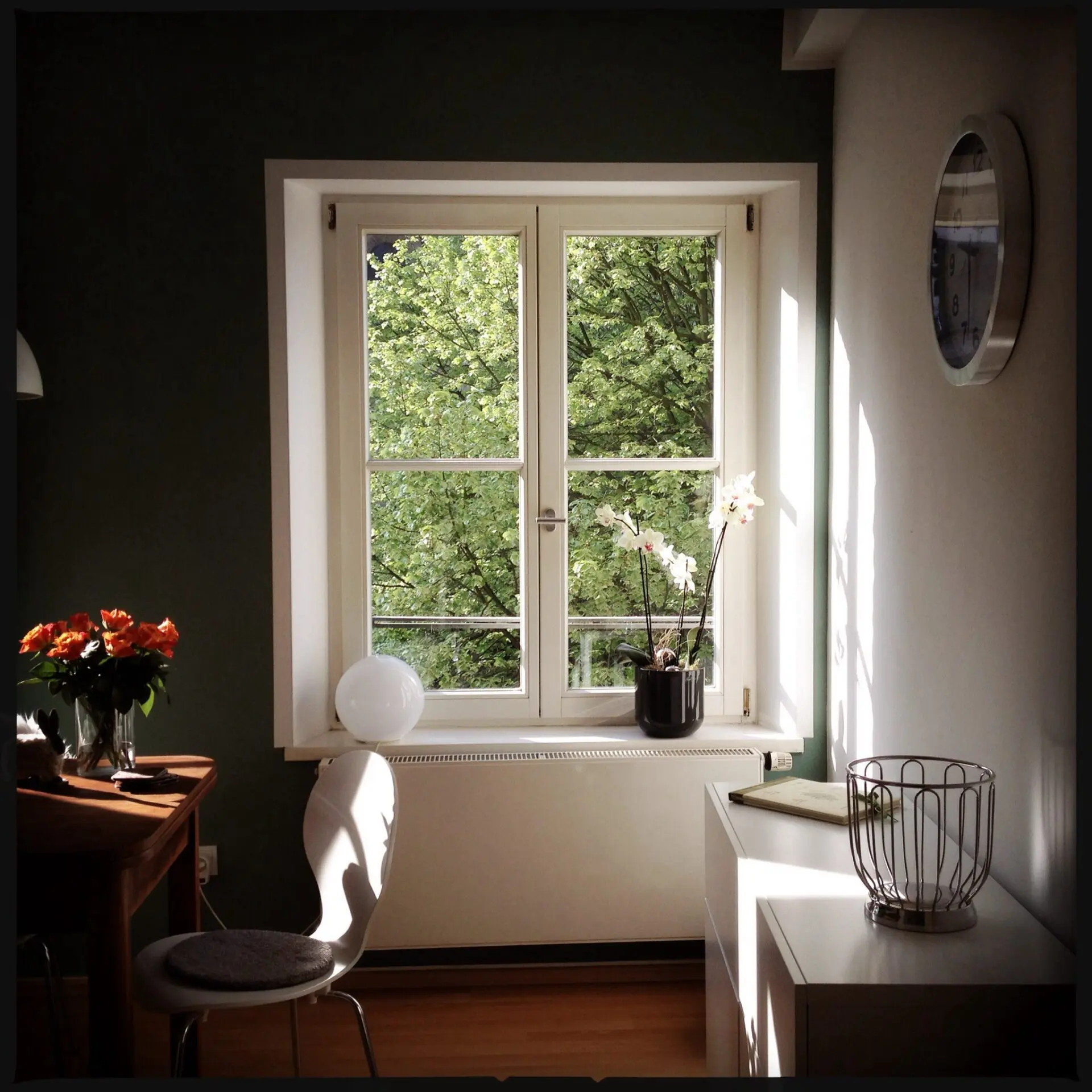 Fenêtre blanche