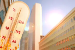 Canicule en ville