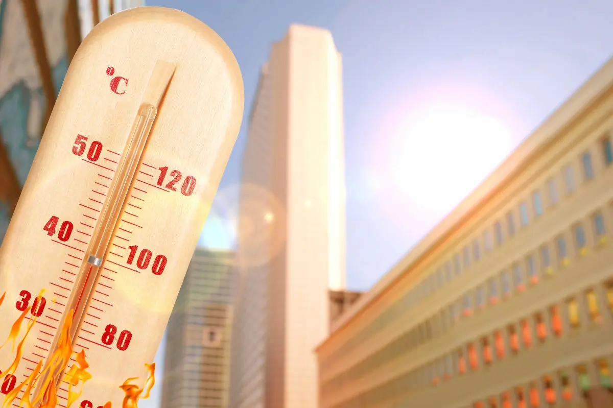 Canicule en ville