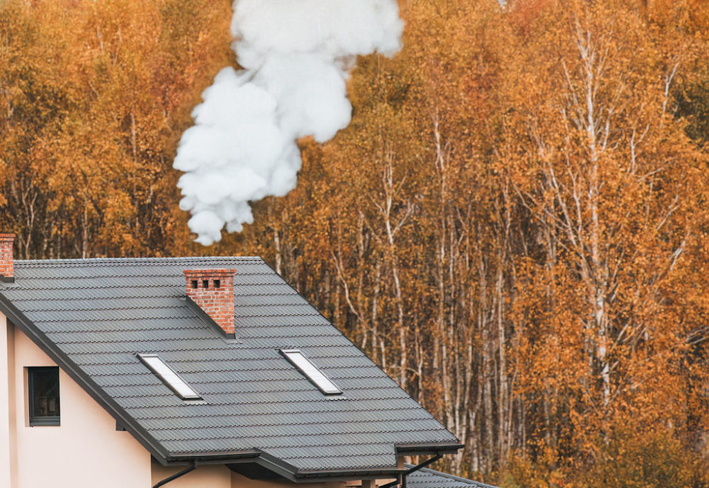 Fenêtres de toiture sur une maison en forêt