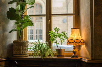 Fenêtre dans un appartement ancien