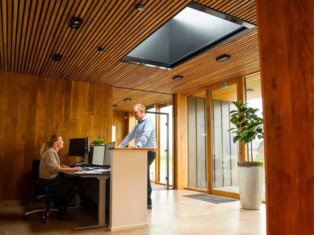 Velux Monolight Walk On